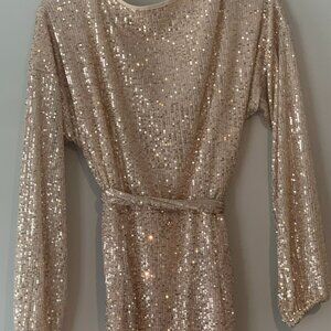 Forever 21 Medium Champagne Sequin Birthday Dress